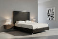 Black Solid Wood Queen Upholstered Faux Leather Bed with Nailhead Trim